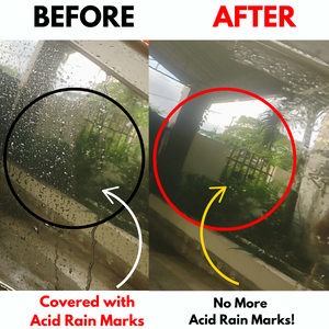 Automobio Glass Polish
